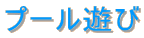 �v�[���V��
