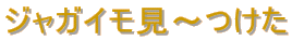 �W���K�C�����`����
