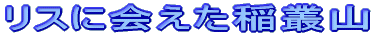 ���X�ɉ���p�R